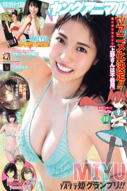 电视剧孤军英雄全集