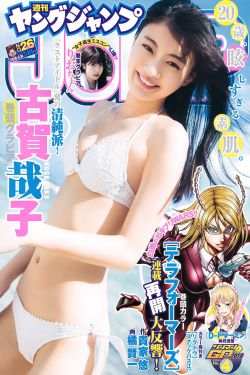 美璃格格电视剧全集
