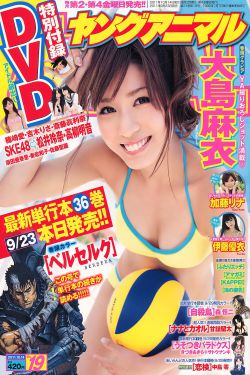 城市猎人电视剧