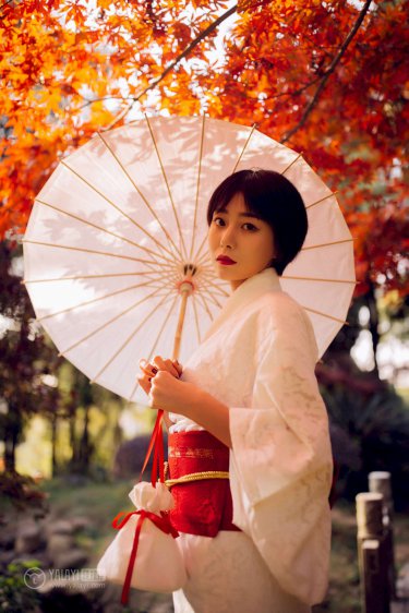 莲花楼 电视剧