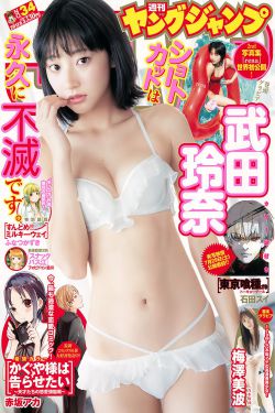 红高粱全集在线观看