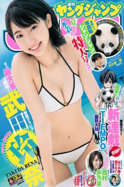 海贼王国语版