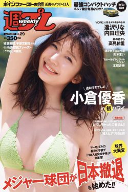 最后武士