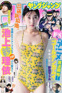 电视剧樊梨花