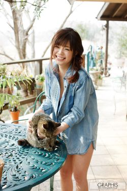 电视剧理想之城免费观看