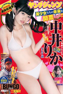 锦衣之下免费观看全集