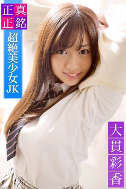 打狗棍电视剧全集